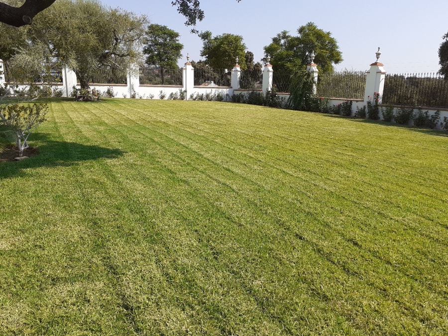 Siega de césped Pradera