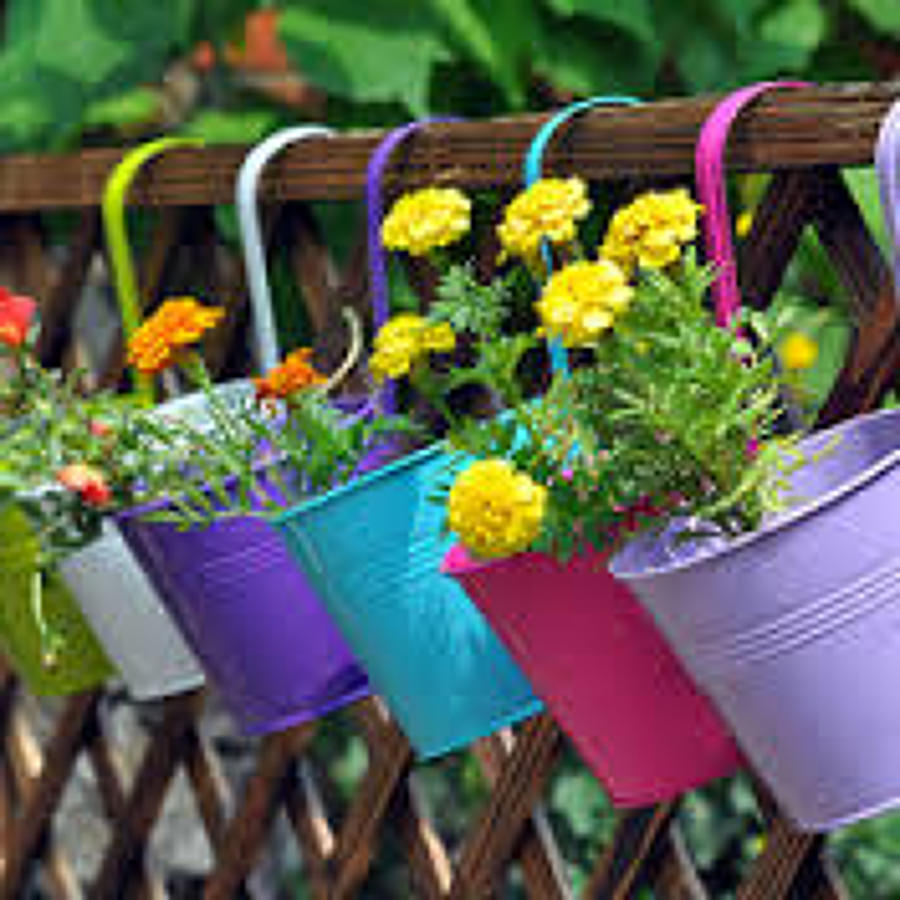 FLORES