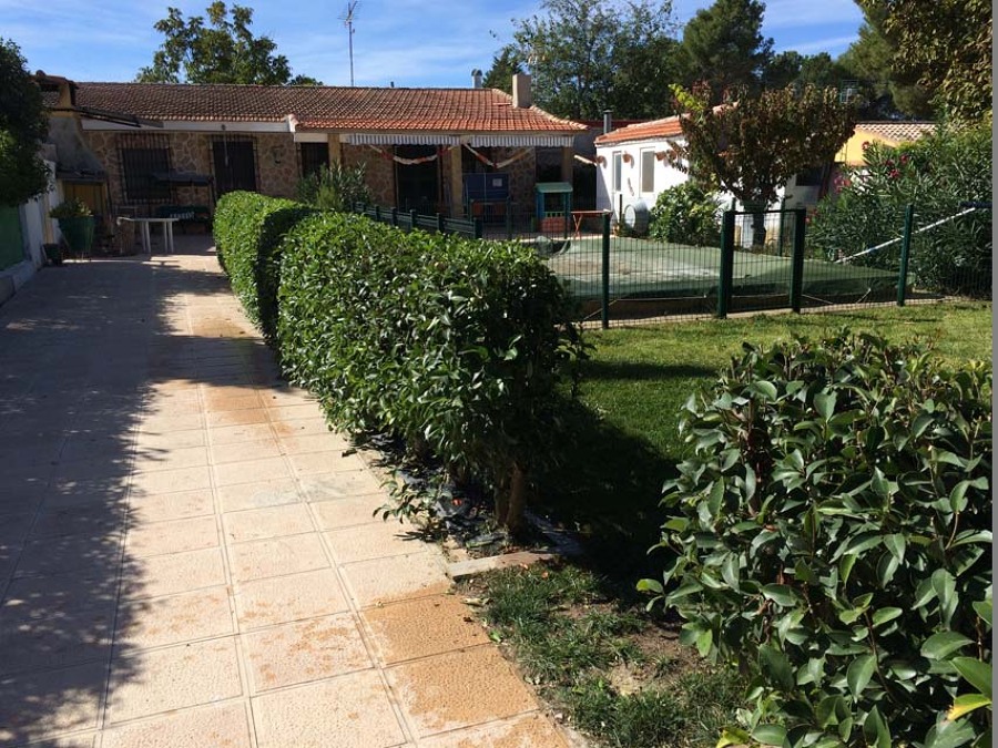 Recorte de setos