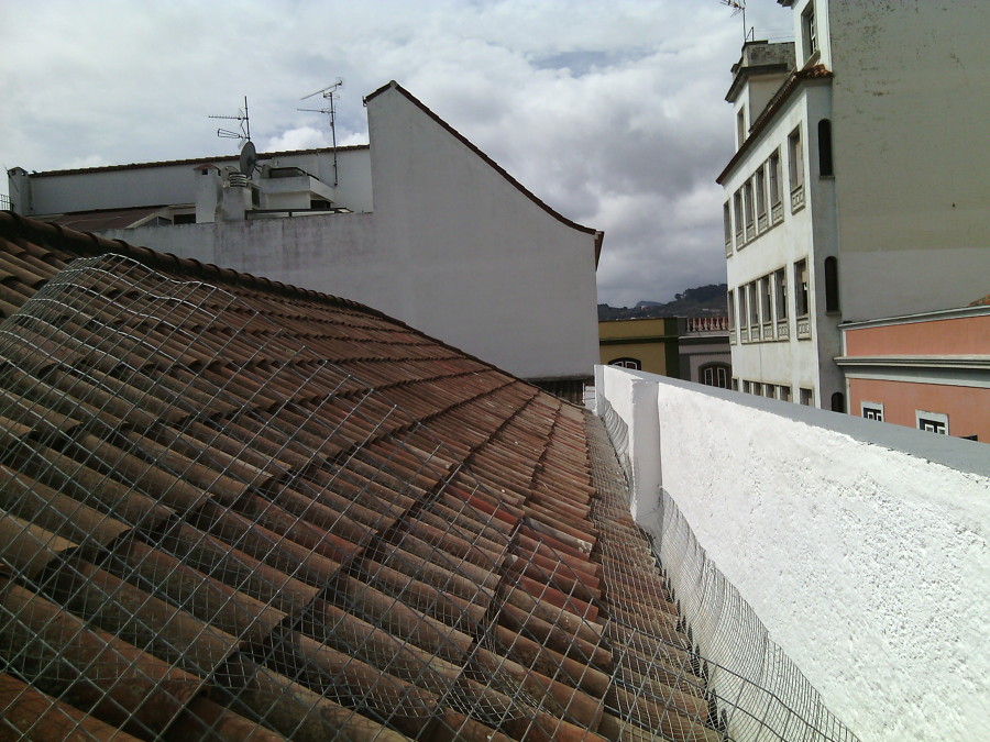 reparacion en tejado
