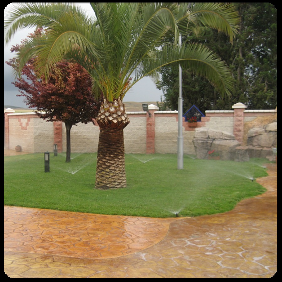 Jardín césped natural 