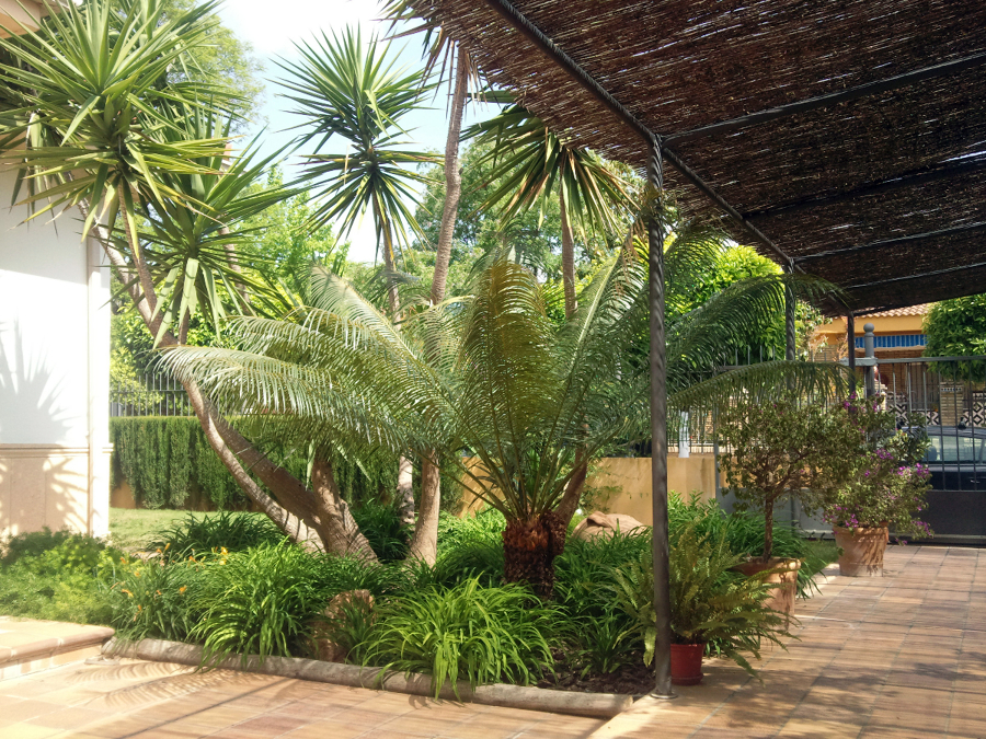 Rincon exotico.