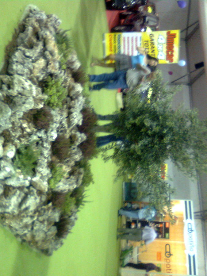 Rocalla