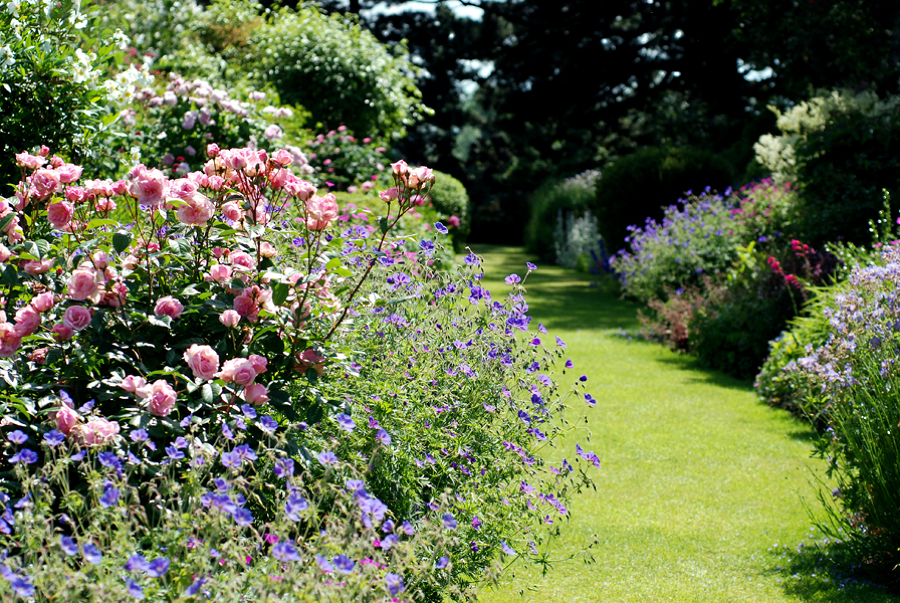 Mantenimiento jardín privado