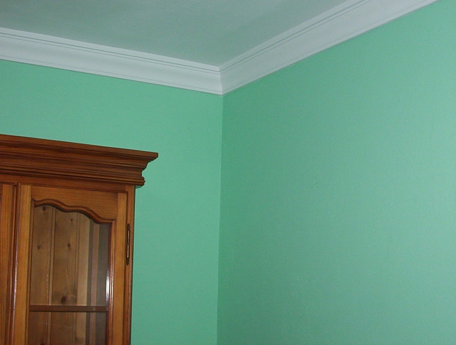 salita color