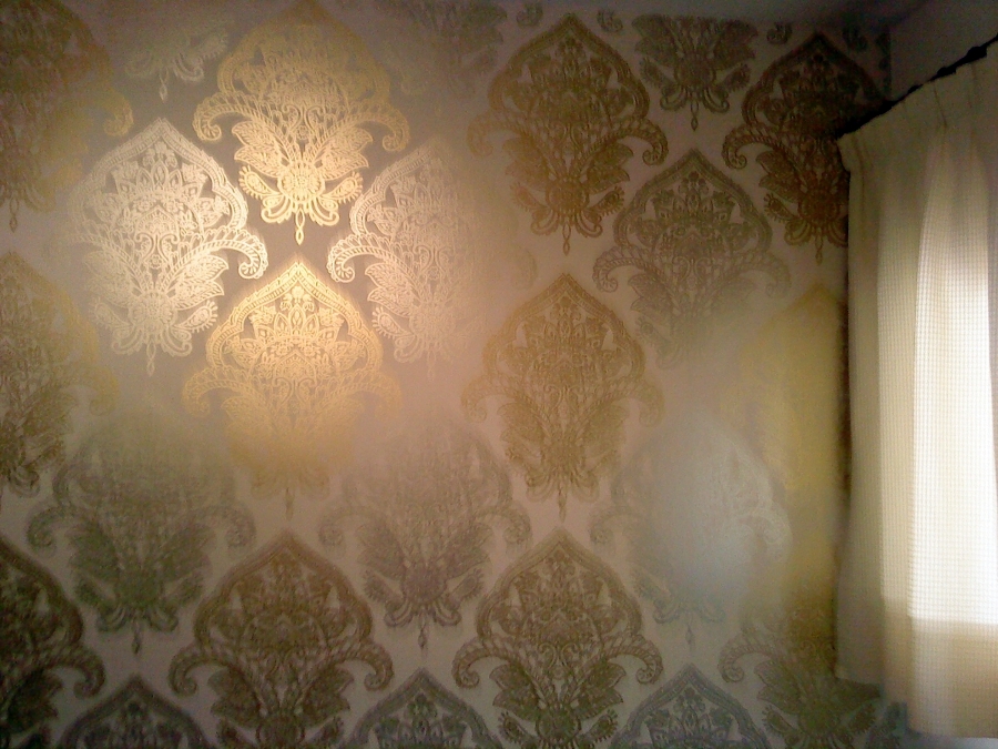SALON ESTAMPADO