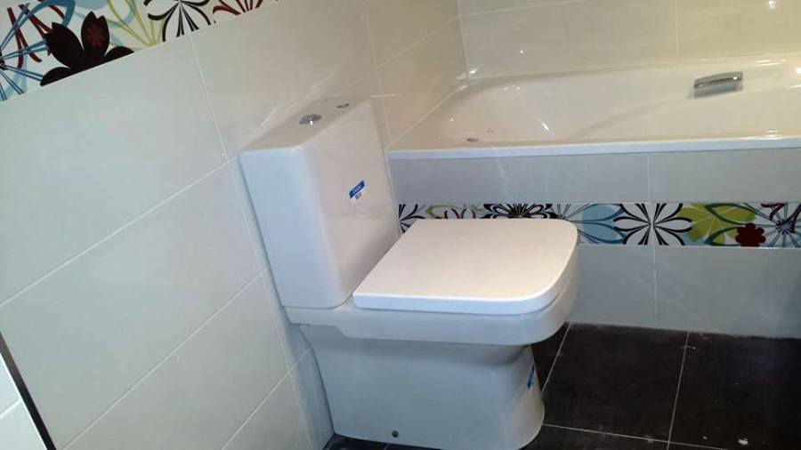 Sanitarios