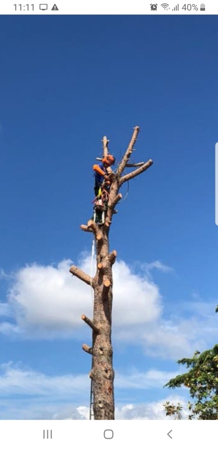 Trepa en altura