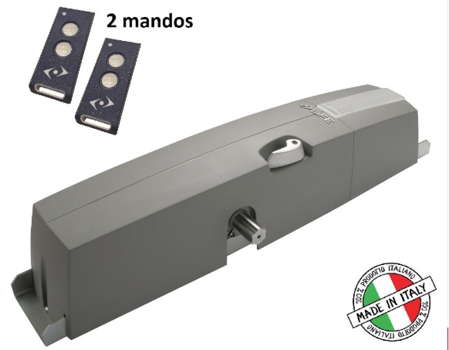 Motor puerta basculante.