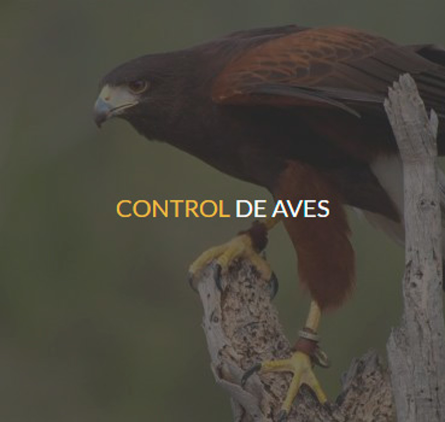 Control de aves