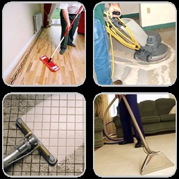 Servicios Integrales