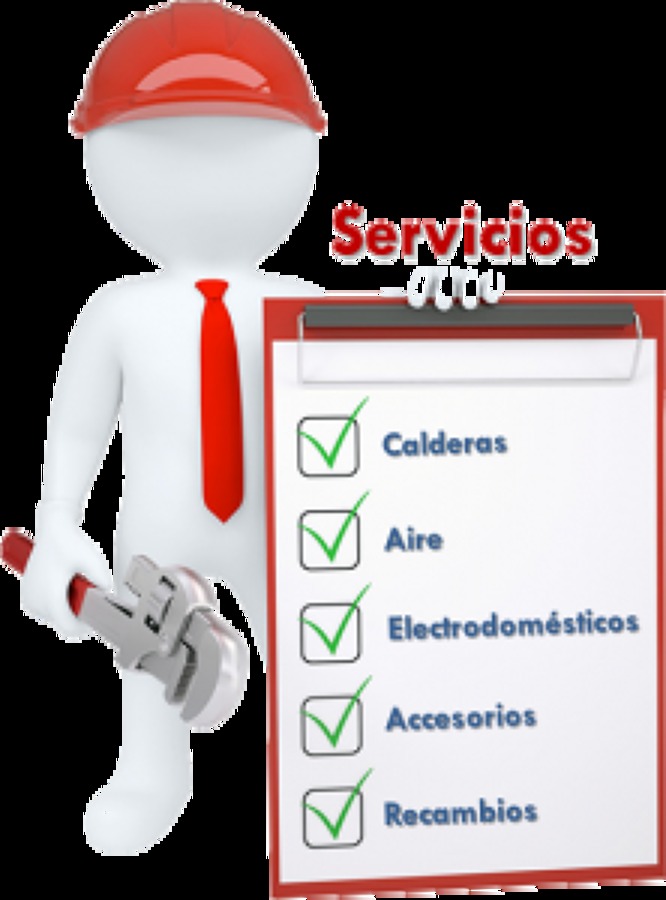 Servicios Profesionales