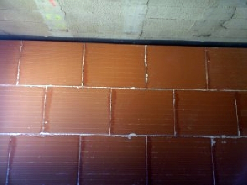 silensis tipo 2a