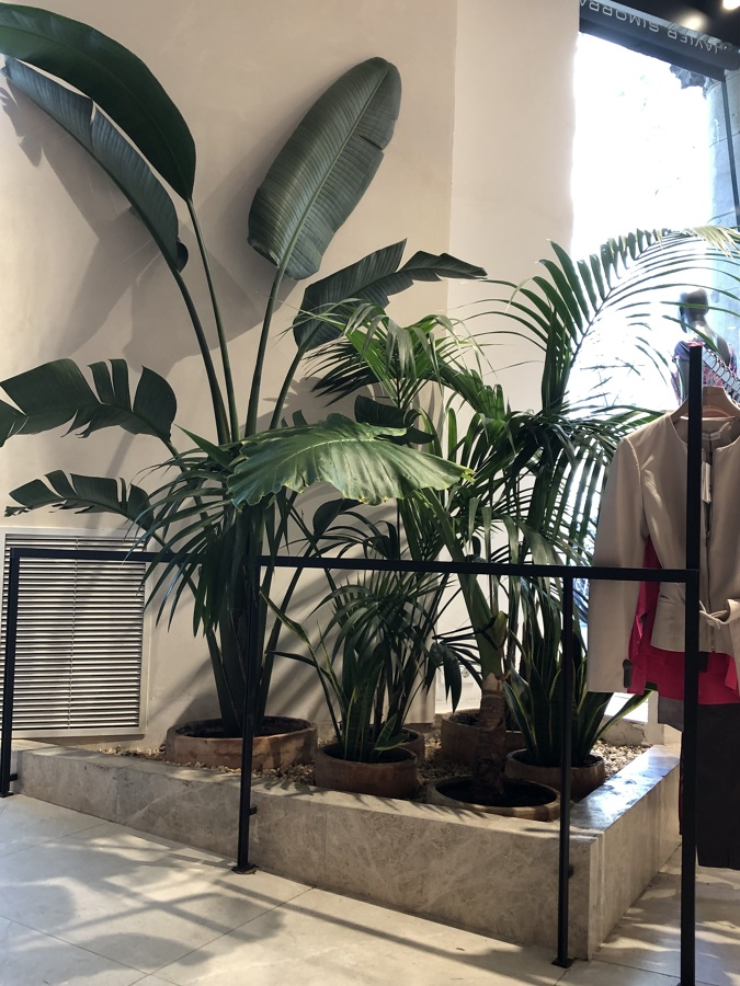 Local de moda en Barcelona