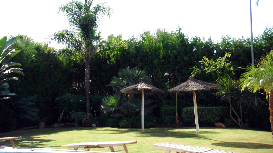 Sol y jardin.