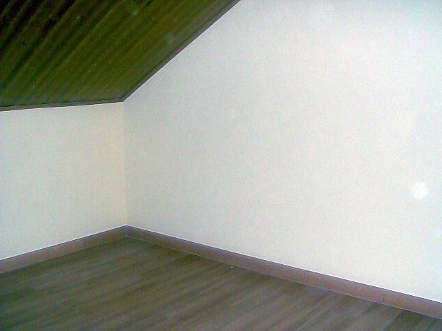 techos de madera