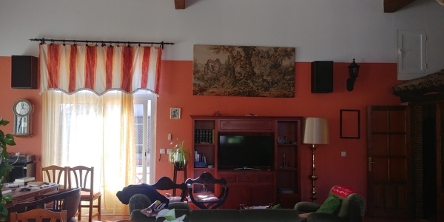 pintura salon