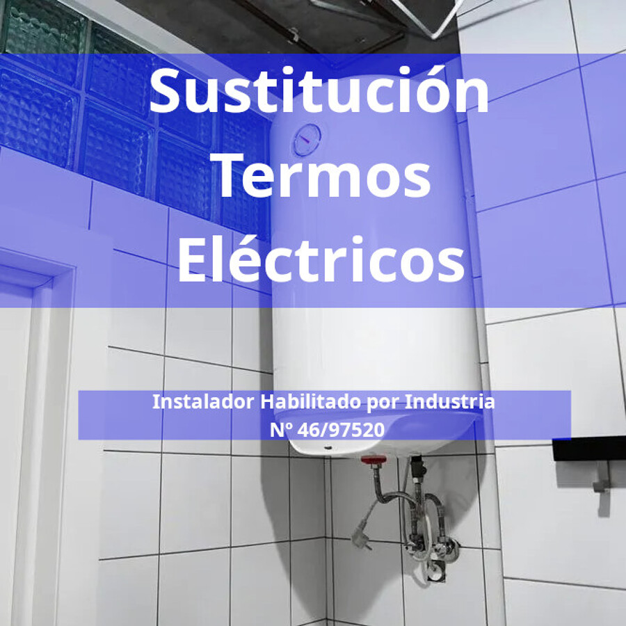 Instalación profesional de termo eléctrico.