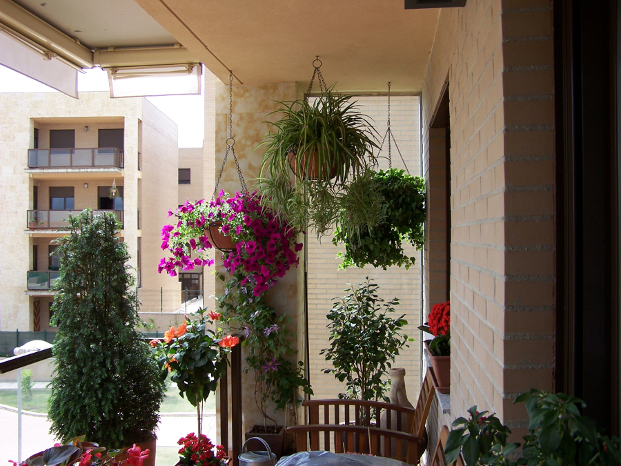 Terraza