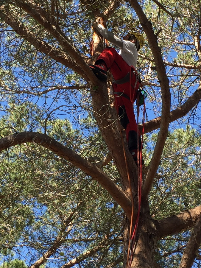 Colocando la polea