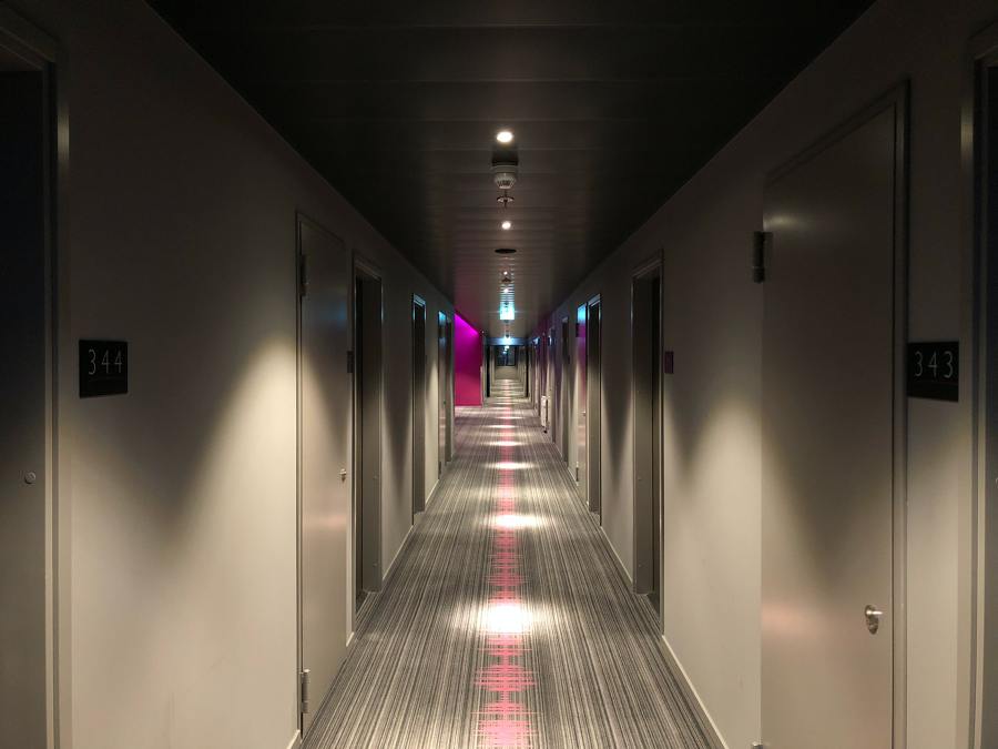 Control de Plagas en Hoteles.