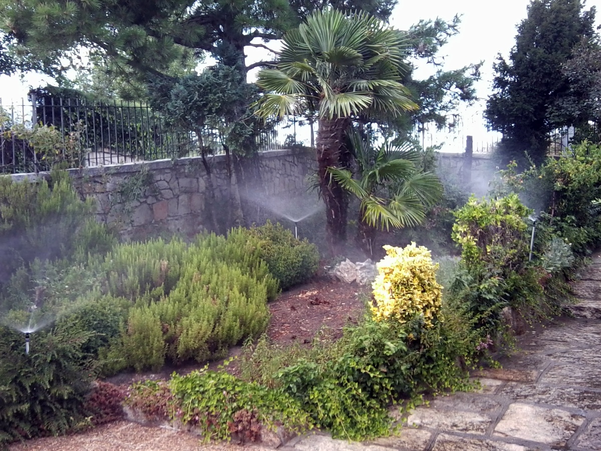 Ver fotos de jardineria 56 Ver fotos de jardineria 44