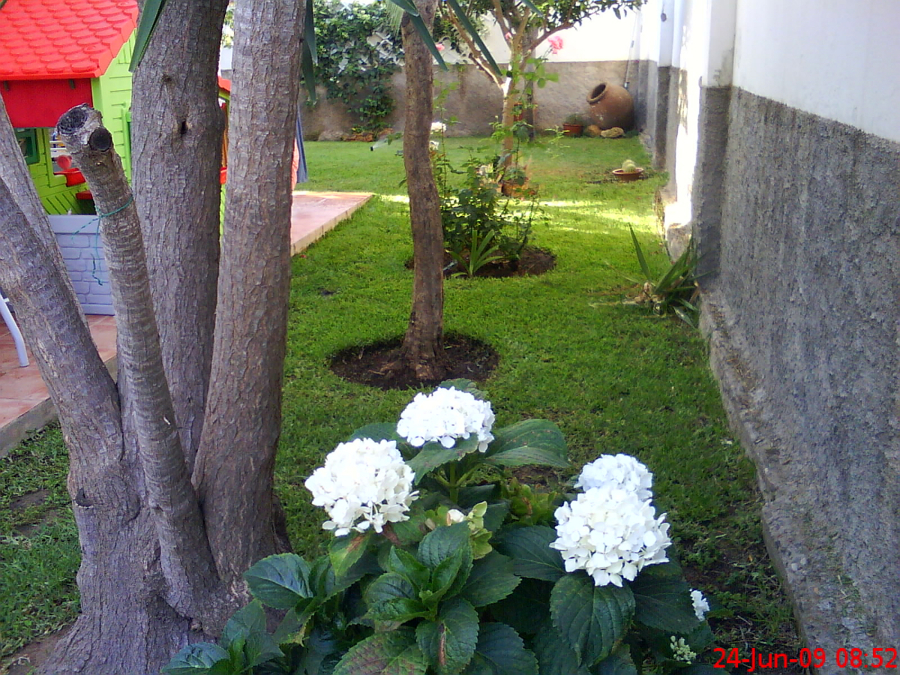 Un rinconcito ordenado Jardineria sevilla