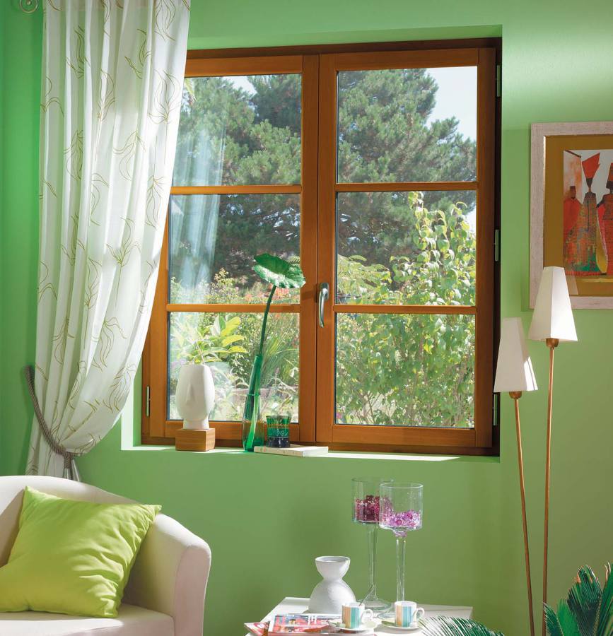 Ventanas