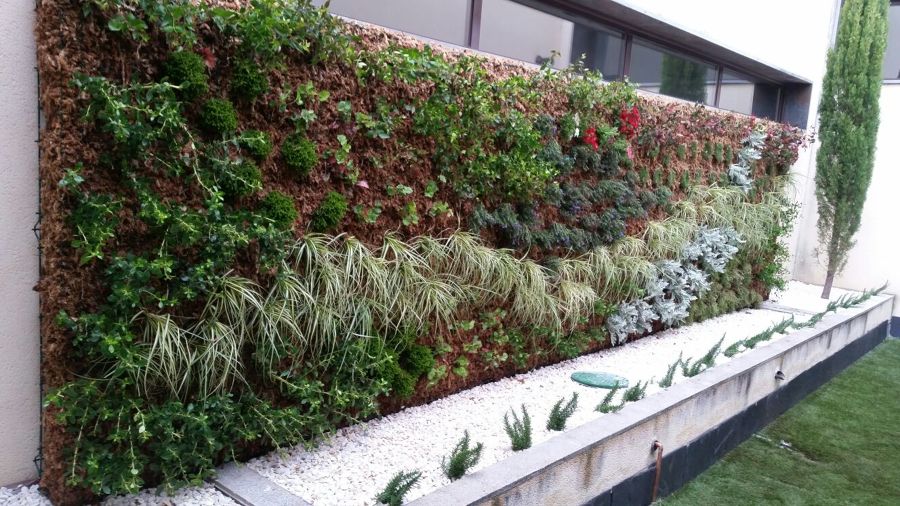 Jardinería vertical