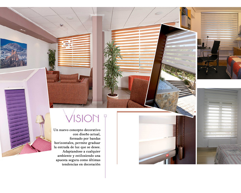 Vision