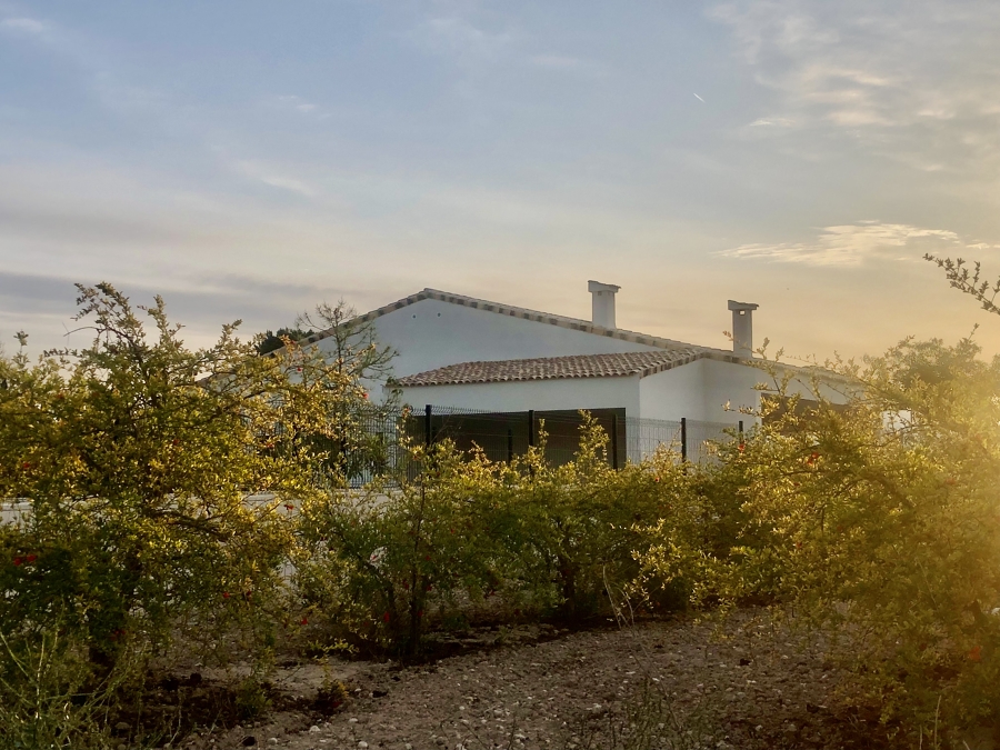 Vivienda en Elche