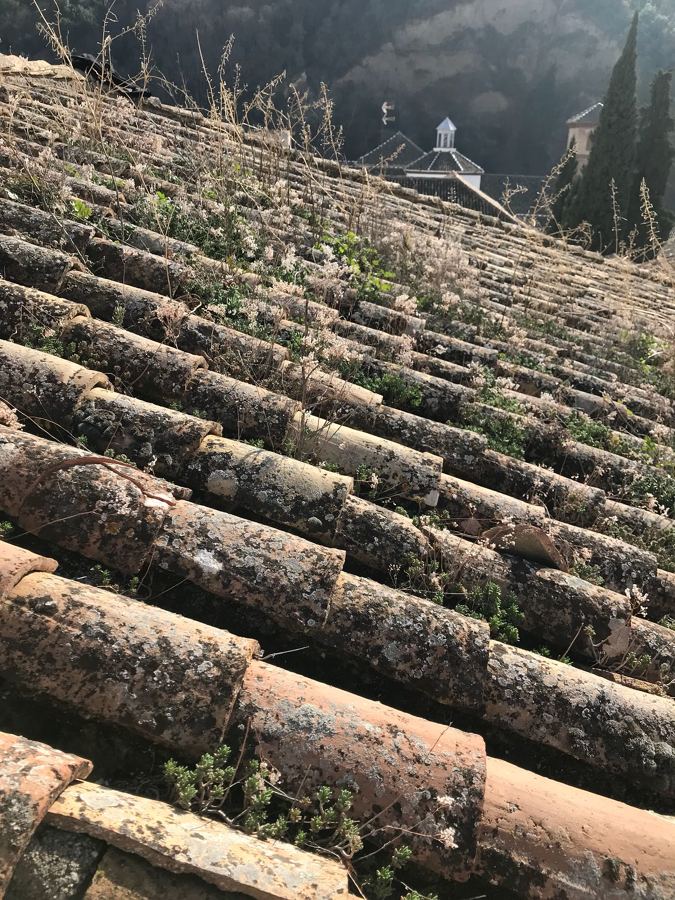 Limpieza de tejados y colocación de canales en el Albayzin,,