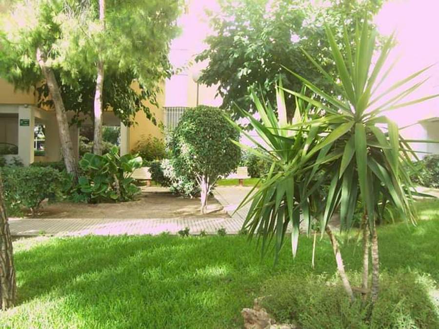 paisajismo y Jardinería