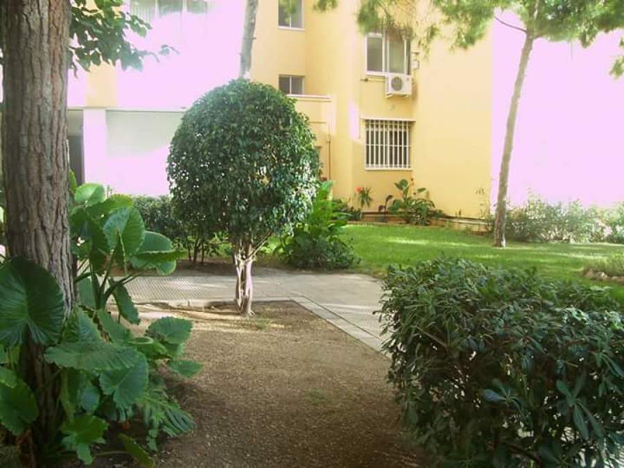 paisajismo y Jardinería