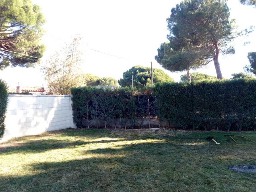 Foriñaki Arborista