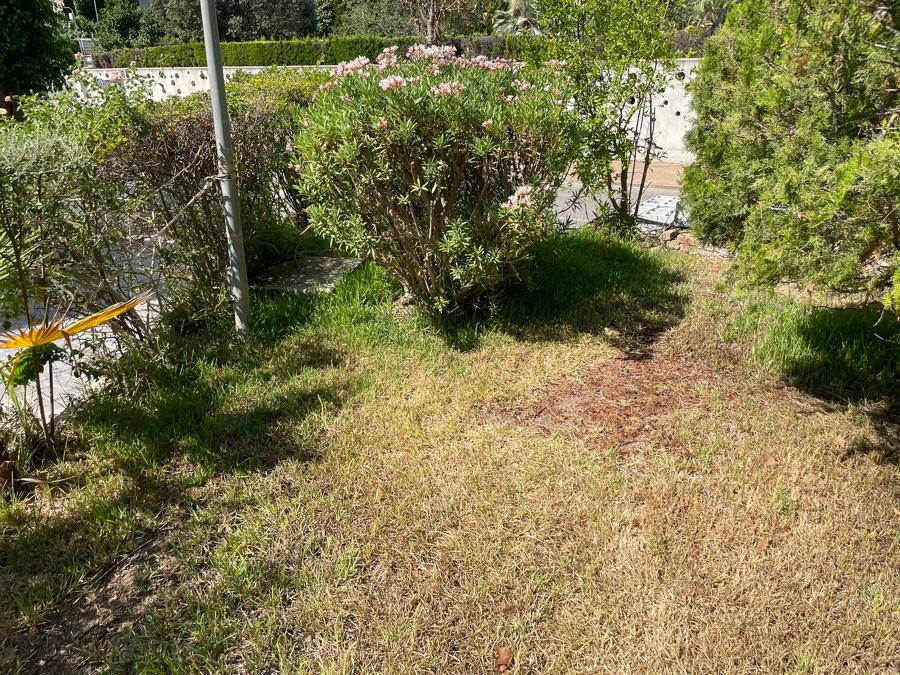 Jardines