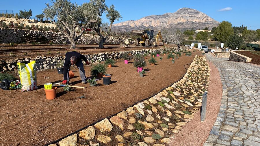 Construccion de jardin