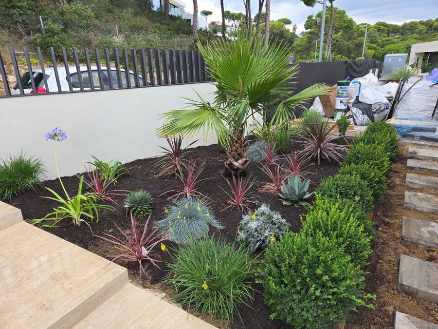 plantaciones
