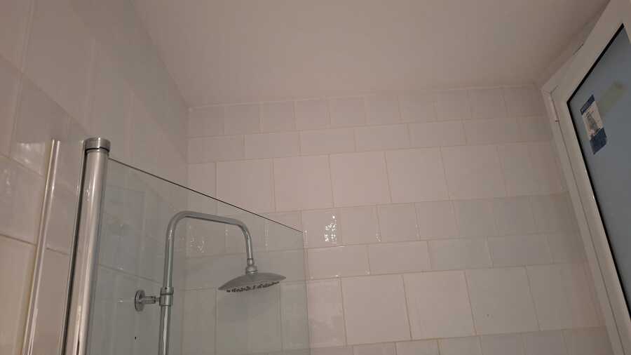 after mold