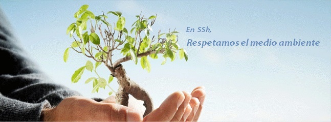 www.chimenasssh.es