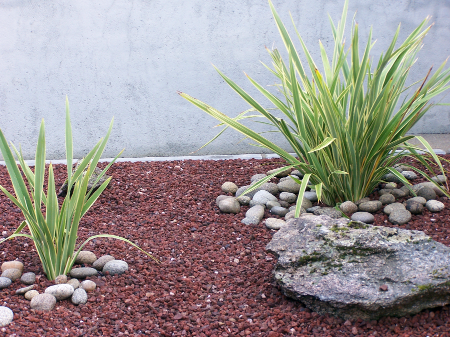 Xerojardineria