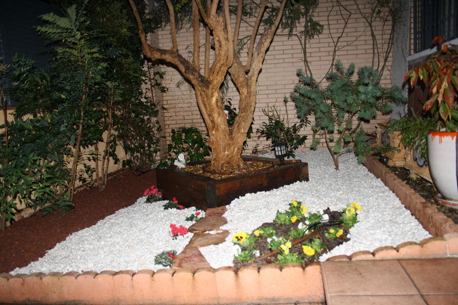 Xerojardinería.