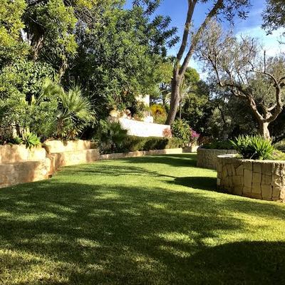 Jardin.