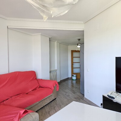 Pintura a salón