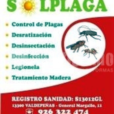 Control Plagas, Desratización, Desinsectación