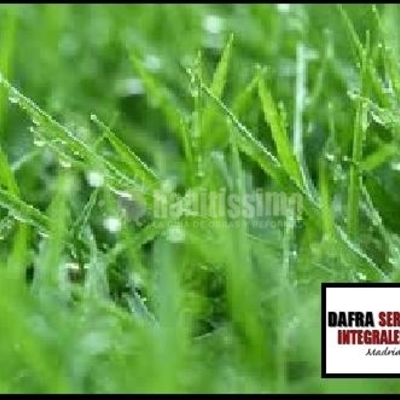 Limpieza, Conserjería, Limpieza Comunidades