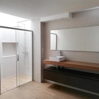 baño reforma integral