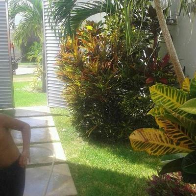 Trabajos realizados