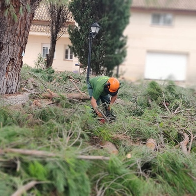Poda y troceado de ramas