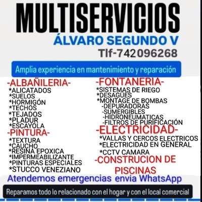 Multiservicios